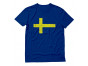 Vintage Sweden Flag