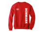 Denmark Football / Soccer Team