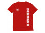 Denmark Football / Soccer Team