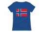 Retro Norway Flag Vintage Norwegian Pride