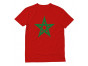 Vintage Morocco Flag