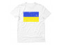 Vintage Ukraine Flag