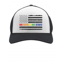 No Hate In My State Gay & Lesbian