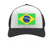 Retro Brazil Flag